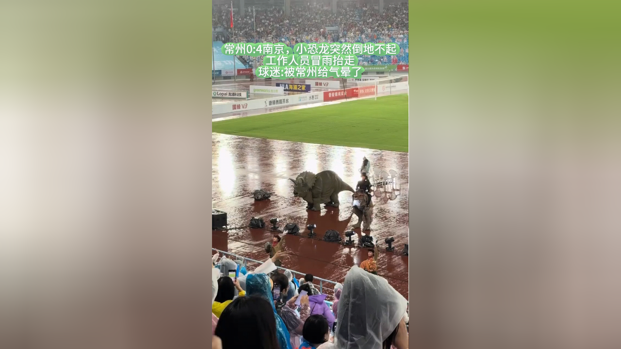 关于苏超中常州输给南京，小恐龙当场气晕被工作人员抬下场的信息