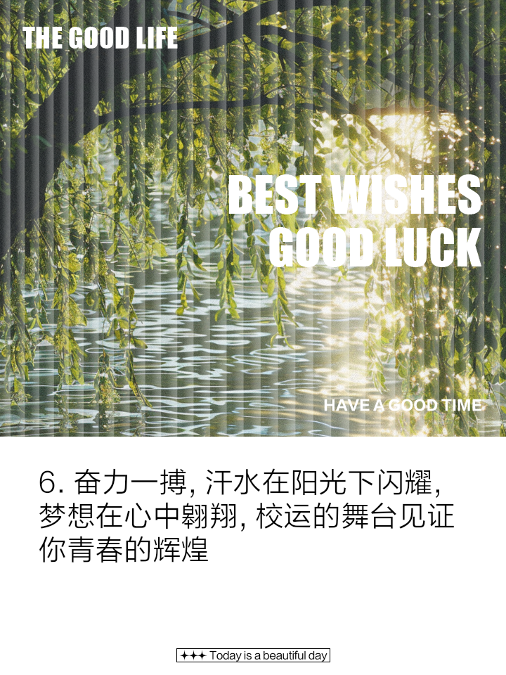 国家代表展现决心，闪耀赛场封王